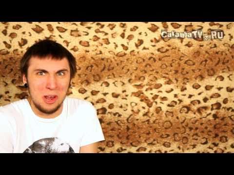 Видео: +100500 - Король Аськи