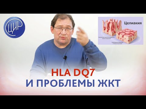 Видео: HLA DQ7 и проблемы желудочно-кишечного тракта. Целиакия. Гузов И.И.