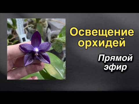 Видео: Биолог Елизавета Новикова - ответы на ваши вопросы!🔥🍀