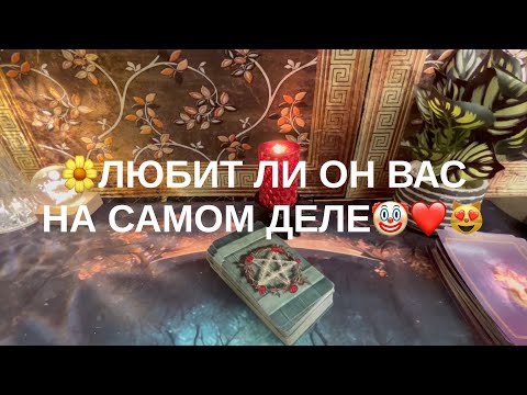 Видео: 11 ноября 2025 г.