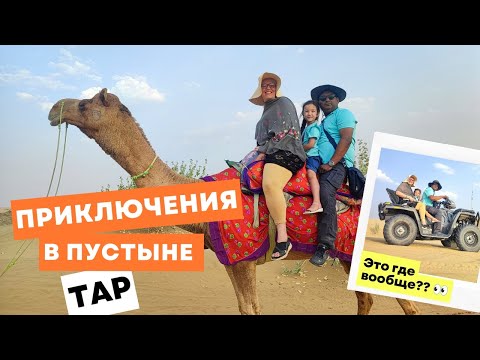 Видео: Открытие года: А что, есть такая пустыня? 👀