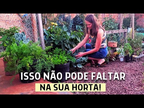 Видео: Это нельзя пропустить в вашем саду 🌱 Сад на заднем дворе 💚