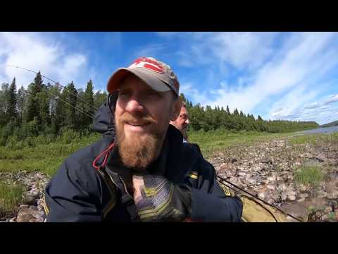 Видео: Рыбалка на  Кольском п-ве.  Убойный клев семги, часть 1.