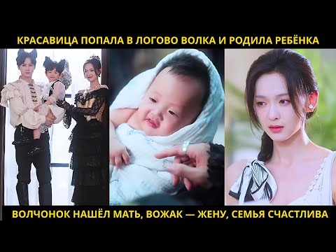 Видео: Красавица попала в логово волка и родила ребёнка.Волчонок нашёл мать, вожак — жену, семья счастлива.