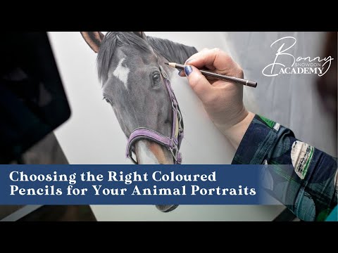 Видео: Как выбрать правильные цветные карандаши для портретов животных | Руководство по материалам