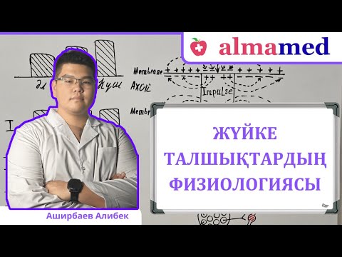 Видео: Жүйке талшықтың физиологиясы