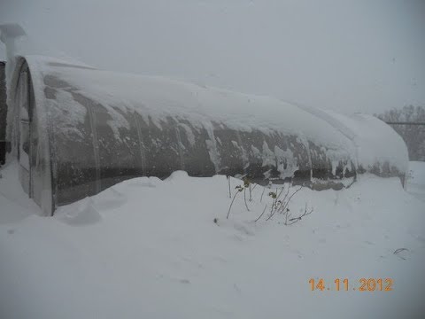 Видео: Зимовка клубники. Снеговая нагрузка теплиц.