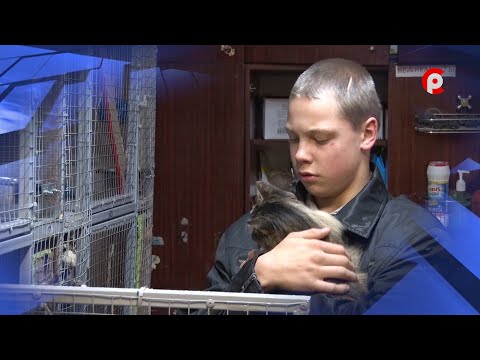 Видео: Город добрых сердец 09.12.2019