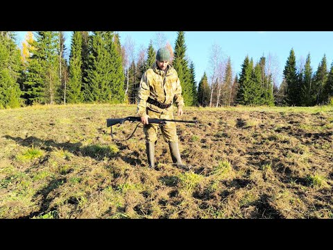 Видео: МЕДВЕДЬ ПЕРЕПАХАЛ ПОЛЕ БУДТО ПЛУГОМ / ОХОТА НА РЯБЧИКА С ДВУСТОРОННИМ МАНКОМ Артура Ларханиди.