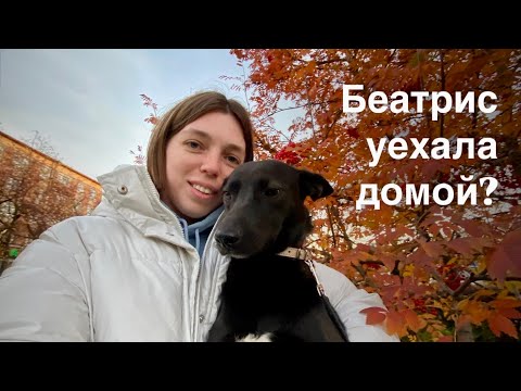 Видео: Из БРОДЯГИ в домашнюю девочку. 2 месяца за 25 минут🥹