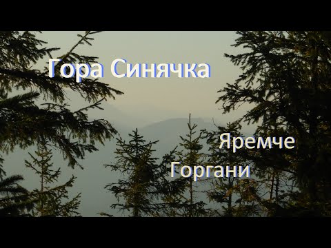 Видео: Капрати. Похід на г.Синячка (1400м.) з Яремче. Горгани. Осінь. Перші морози. Гриби.