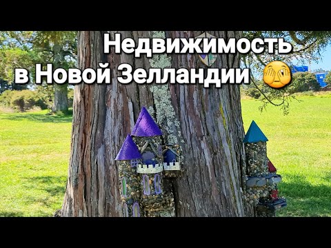 Видео: Квартирный вопрос. Детский сад и чудеса на деревьях 🌳🌴