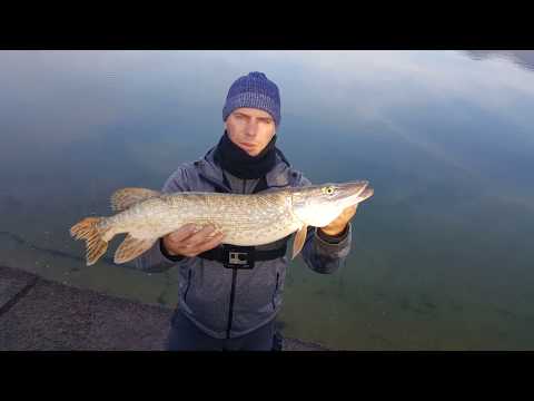Видео: Щука на ратлины,убойная супер приманка по щуке.