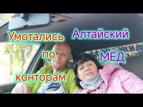 Видео: Умотались🤪/Будем сносить СТЕНУ в Моревке/Узакониваем перепланировку ВАННЫ/ОБЛОМ/Купили  мёд 🍯