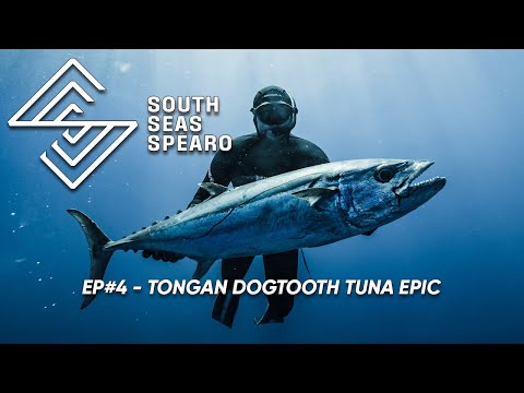 Видео: ЮЖНОЕ МОРЕ SPEARO - Тонганская подводная охота на собакозубого тунца