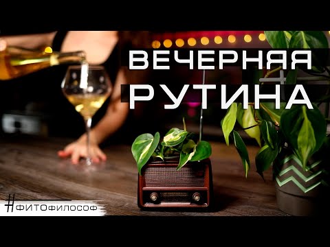 Видео: RELAX VLOG #5🌿Правильный полив Замиокулькаса 💦 Сажаю разные сорта Сингониумов. Сморщилась Муншайн?