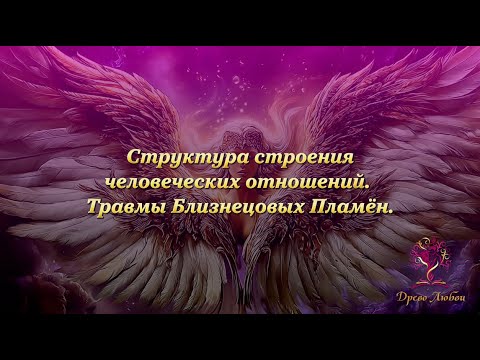 Видео: Структура строения человеческих отношений. Травмы Близнецовых Пламён