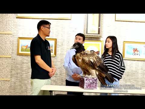 Видео: Монгол орны хамгийн өндөрт нисдэг Ёл шувуутай танилцаарай