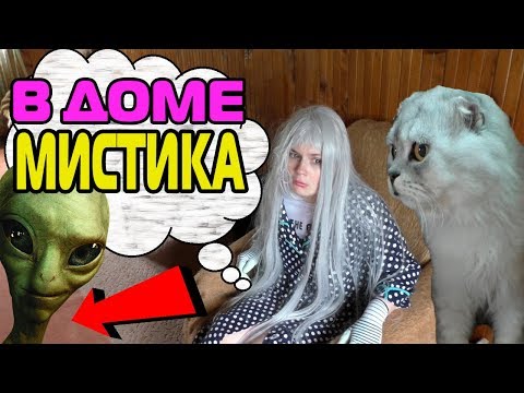 Видео: ЗОЯ ВЕРНУЛАСЬ В ПАНИКЕ! КЕВИН И БИЛ ПРОТИВ ПРИВИДЕНИЯ!