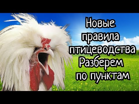 Видео: НОВЫЕ ПРАВИЛА СОДЕРЖАНИЯ ПТИЦЫ в ЛПХ и КФХ. Подробный разбор с комментариями.