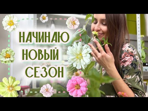 Видео: ФЕВРАЛЬ В ЦВЕТАХ! МОЙ ГРАФИК ПОСАДОК. #милыйдом