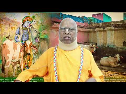 Видео: 2025 ноября 1| Джапа  - Е.С. Локанатха Свами