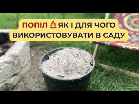 Видео: Попіл у саду. Як правильно використовувати деревний попіл як добриво?
