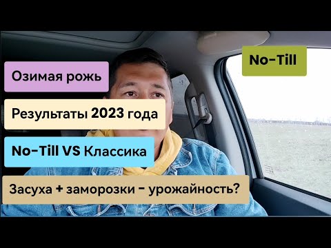 Видео: Итоги 2023 года. Всходы озимых. No-Till и классика - результаты сравнения в засуху.