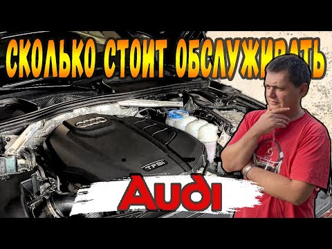 Видео: Делаю ТО. Сколько стоит обслуживать AUDI A4 B9 2.0 TFSI