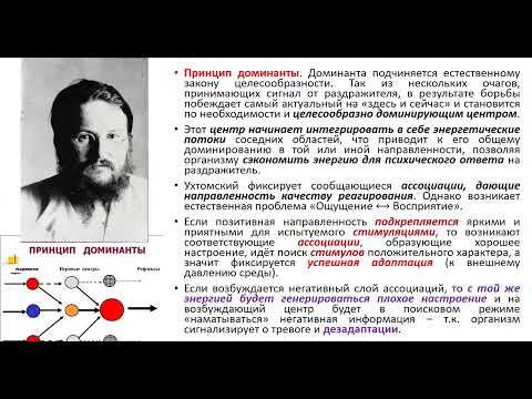 Видео: Шабанов Л. В. Алексей Ухтомский.  Доминанта и хронотоп