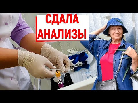 Видео: Зимуем у моря. Решаю Проблемы Быта и Здоровья. Прохожу обследование в Лазаревском
