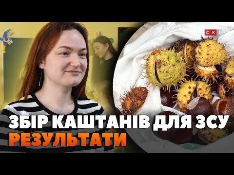 Видео: У Житомирі завдяки акції «Каштани для ЗСУ» вдалося зібрати 18 тон плодів