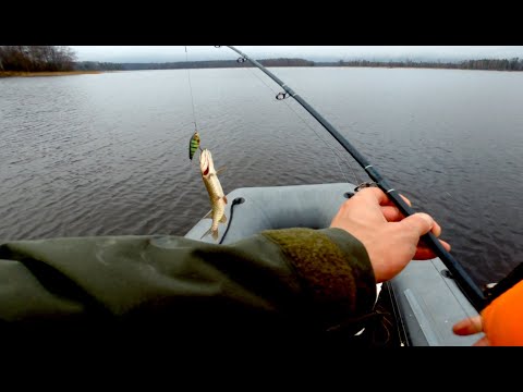 Видео: Рыбалка в ноябре. Часть 2 заключительная.