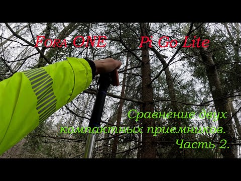 Видео: Коротенькая проверка. Сравнение. Fora ONE и Pi Go Lite. Часть 2.