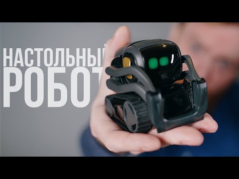 Видео: Самый классный настольный робот. 🤖/ Обзор Vector от Anki.