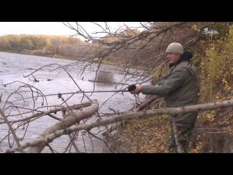 Видео: Рыбалка на Дону с Нельмой. Джиг спиннинг