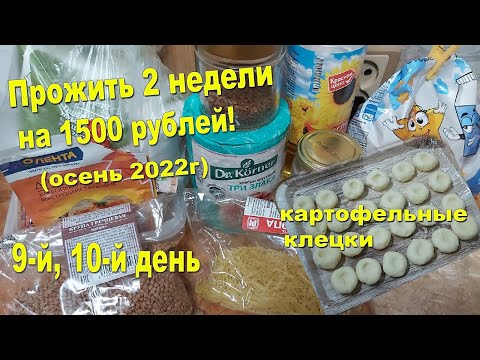 Видео: Прожить 2 недели на 1500 р! Осень 2022! Ревизия остатков. Соус грибной)) Картофельные ??? клецки)))