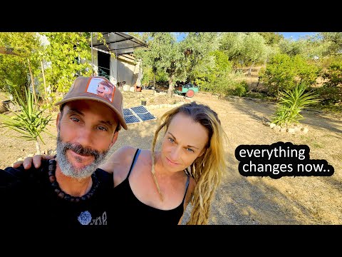 Видео: ПОРТУГАЛИЯ (БЕЗ СЕТИ) — ПОДГОТОВКА К ЗИМЕ И ГИГАНТСКИЙ УРОЖАЙ :)