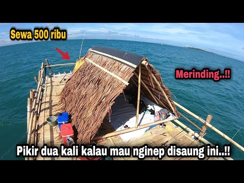 Видео: 24 часа пребывания в убежище приводят к уменьшению размеров тела.