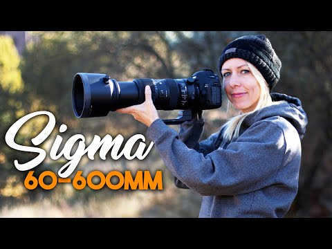 Видео: Объектив Sigma 60-600 мм. ПЕРВЫЕ ВПЕЧАТЛЕНИЯ от съемки дикой природы, пейзажей и многого другого
