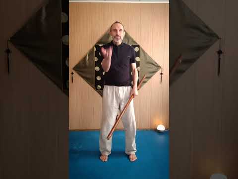 Видео: Упражненин с палкой вращение на себя / exercises with a stick, self rotation (Виктор Лактионов)