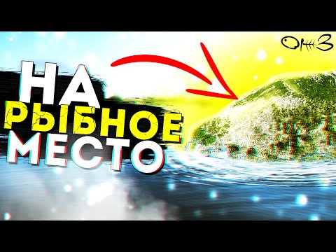 Видео: Ловим сазанов 4 дня в Камне на Оби! Отдых на природе. Рыбалка на Оби.