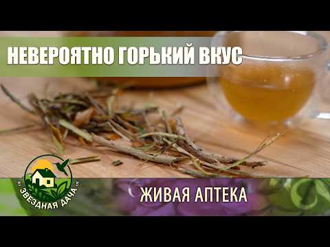 Видео: ОСИНА/ ПОЧЕМУ ОСИНА ПОЛЕЗНА ДЛЯ ЧЕЛОВЕКА? Живая аптека с Дмитрием Юровским #звезднаядача