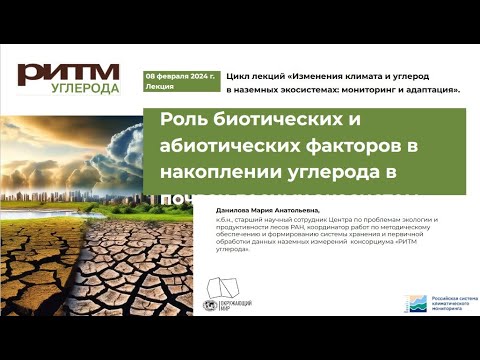 Видео: Роль биотических и абиотических факторов в накоплении углерода в лесных почвах. М.А. Данилова