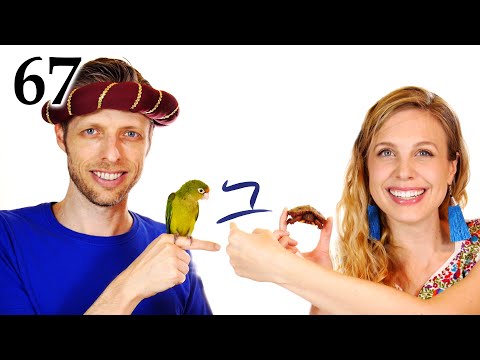 Видео: Иврит - Между Эглоном и Седекией - Библейский иврит - Урок 67