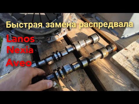 Видео: Замена Распредвала не снимая ГБЦ. Ланос. Нексия. Авео. Опель.