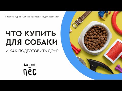 Видео: Покупки для щенка! Что купить перед приездом?
