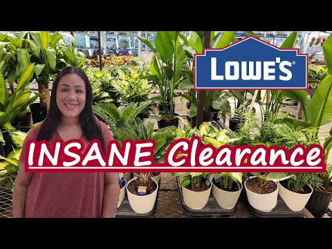 Видео: БЕЗУМНЫЕ предложения по распродаже растений в Lowe's!