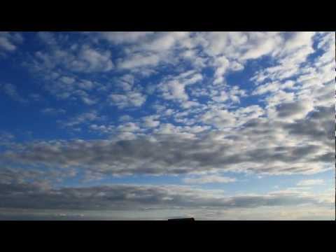 Видео: Такая работа