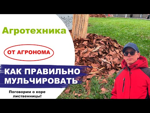 Видео: Правильное мульчирование растений корой лиственницы